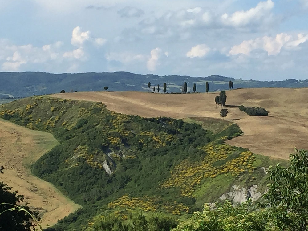 Il paesaggio