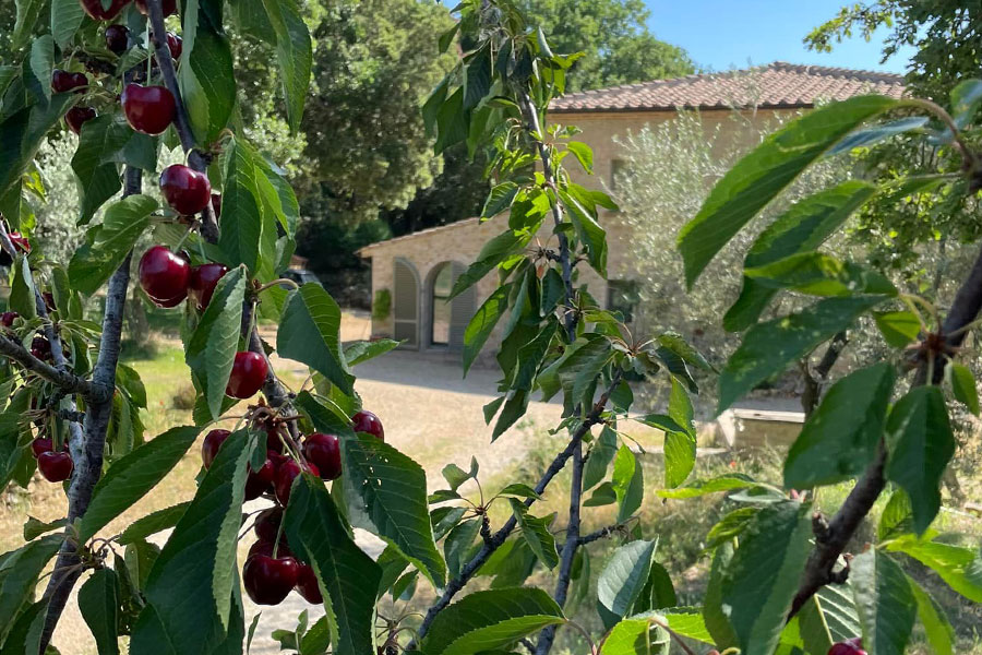 agriturismo volterra colazione genuina