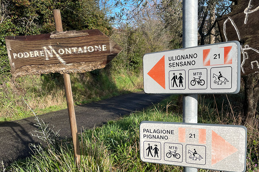 trekking urbano a piedi volterra