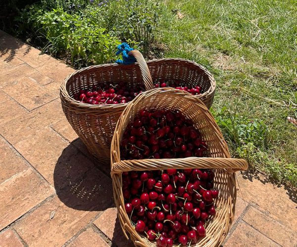 agriturismo volterra colazione biologica