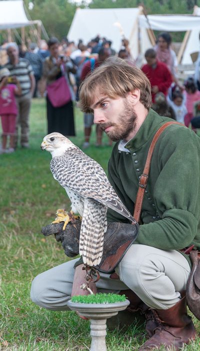 festa medievale volterra falconeria